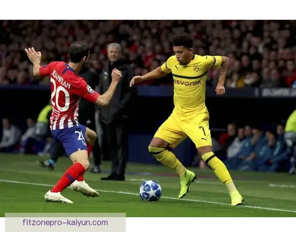 里尔战术解析：球队战术表现稳健，适应性强，竞争力不断增强